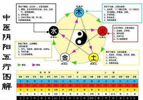 為何金生水|怎样理解五行理论中的“金生水”？